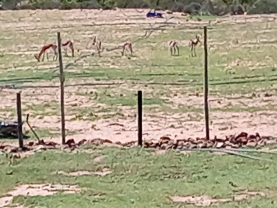 3 Bedroom Property for Sale in Joubertina Eastern Cape